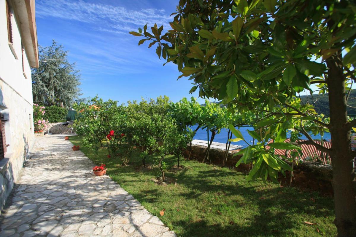 Apartments Lina 2023 Rabac Exteriér fotografie